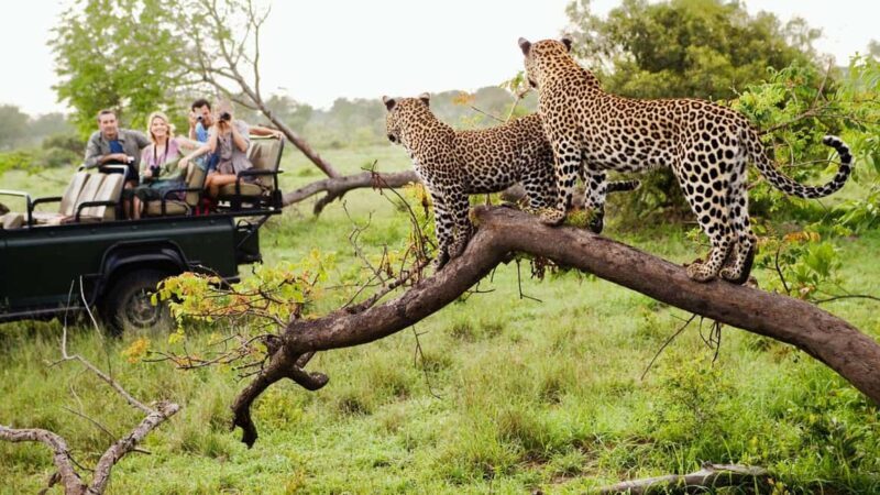 Arusha: 5-Day Serengeti & Ngorongoro Crater in Rest house - An In-Depth Look at the 5-Day Safari Experience
