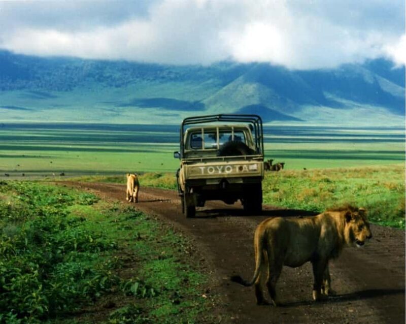 Arusha: 5-Day Wildebeest Migration Safari with Accommodation - The Itinerary in Detail