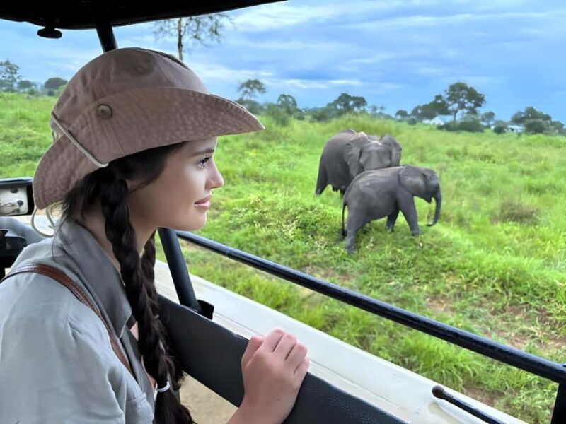 Arusha: 6-Day Safari to Tarangire, Serengeti, & Ngorongoro - Starting the Adventure in Arusha