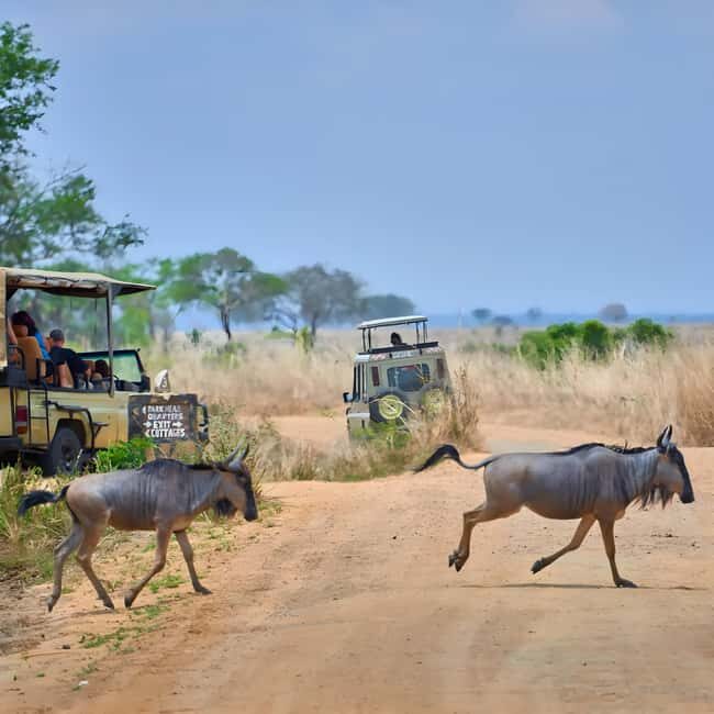 Arusha: 6-Day Safari to Tarangire, Serengeti, & Ngorongoro - Authentic Encounters and Guides Expertise