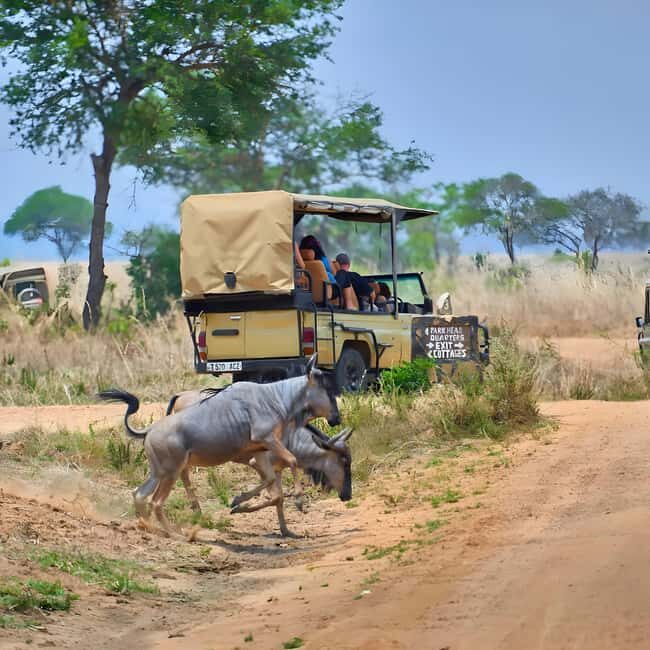Arusha: 6-Day Safari to Tarangire, Serengeti, & Ngorongoro - FAQ