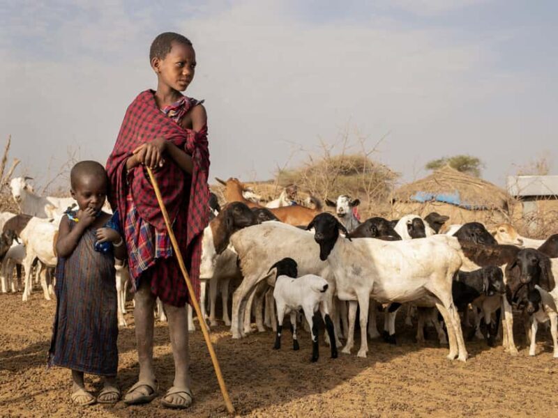 Arusha: 6-Day Serengeti Safari with Maasai Village Visit - Final Thoughts