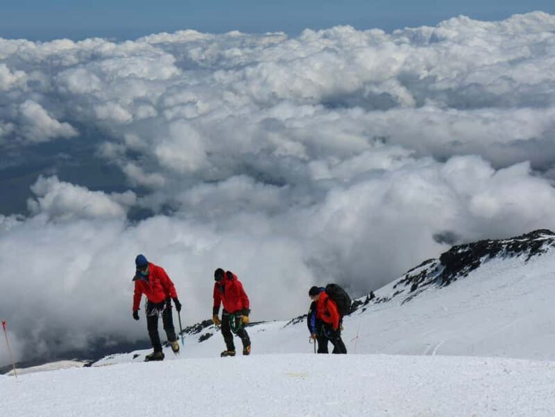 Arusha: 7-Day Kilimanjaro Lemosho Route Trek with Hotel Stay - The Guides and Support Team
