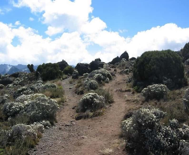 Arusha: 7-Day Mount Kilimanjaro Machame Route Trek - Key Points