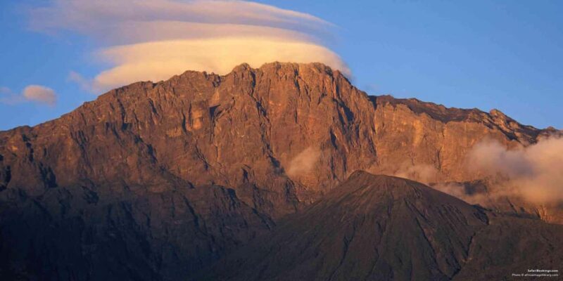 ARUSHA: 8-Day Mount Meru Trekking & Northern Circuit Safari - Wildlife and Nature: Safaris in Tarangire and Ngorongoro