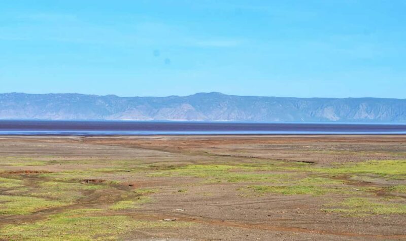 ARUSHA: 8-Day Mount Meru Trekking & Northern Circuit Safari - Final Thoughts