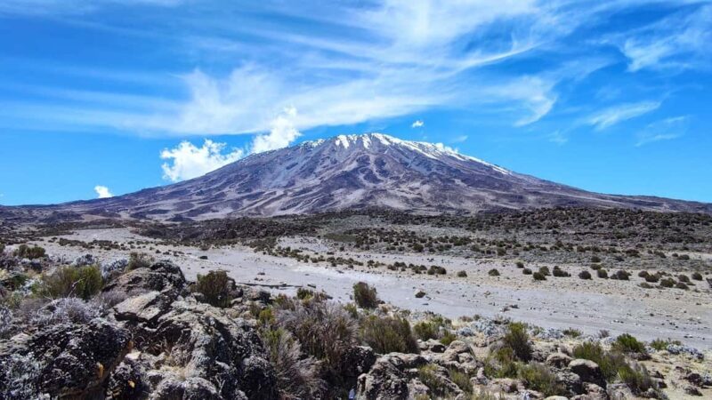 Arusha: 9-Day Kilimanjaro Northern Circuit Route - An In-Depth Look at the Itinerary and Experience