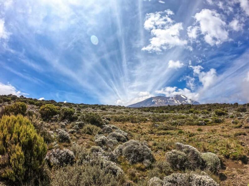 Arusha: 9-Day Kilimanjaro Northern Circuit Route - Final Thoughts
