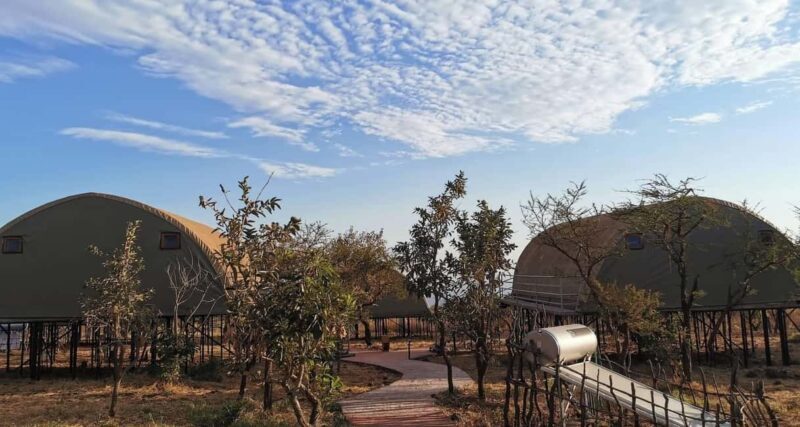 Arusha: 9-Day Ultimate Safari Adventure - Accommodations: Comfort Meets Nature