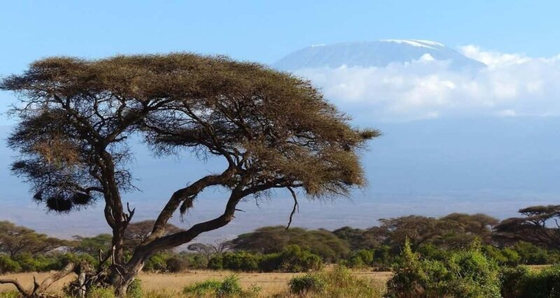 Arusha: 9-Day Ultimate Safari Adventure - The Sum Up