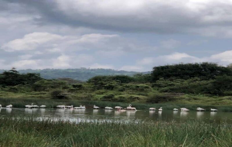 Arusha: Arusha National Park Day Trip - The Itinerary in Detail