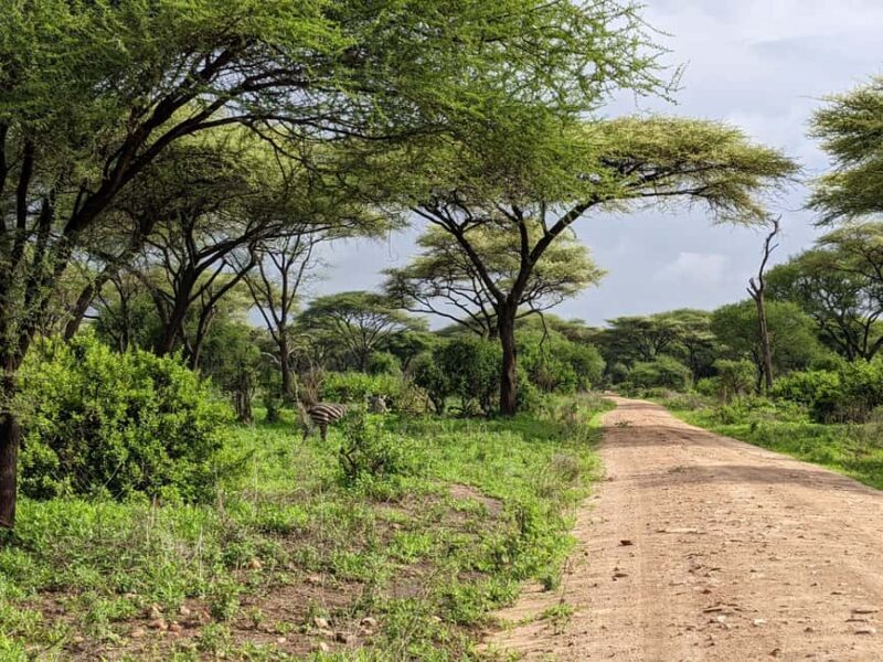 Arusha: Arusha National Park Safari with Canoeing Option - Additional Highlights and Hidden Gems