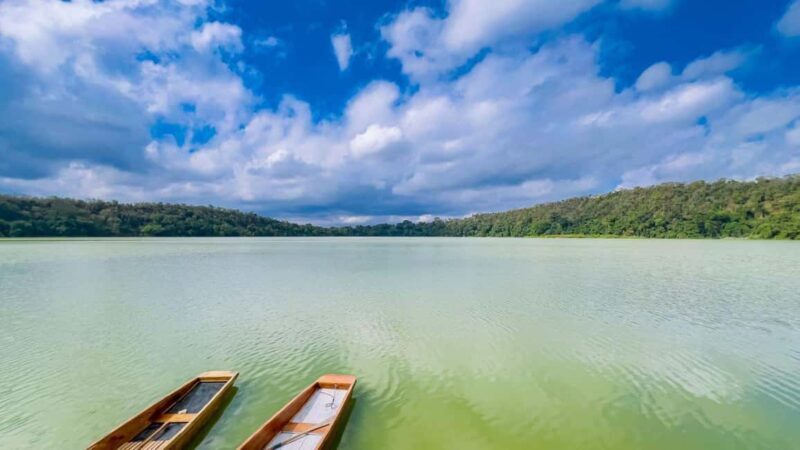 Arusha: City Tour with Canoeing on Lake Duluti - An Overview of the Experience