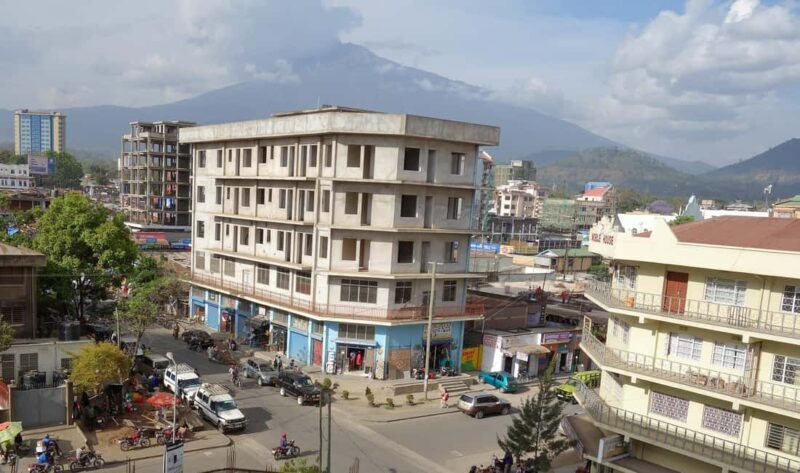 Arusha: City Tour with Lunch, Clock Tower & Museum - Key Points