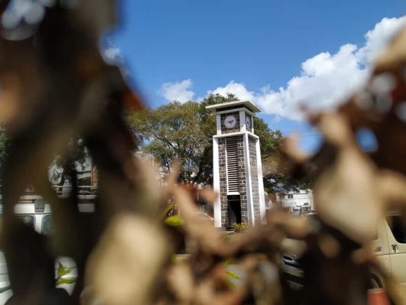 Arusha: City Tour with Lunch, Clock Tower & Museum - Who Will Enjoy This Tour?
