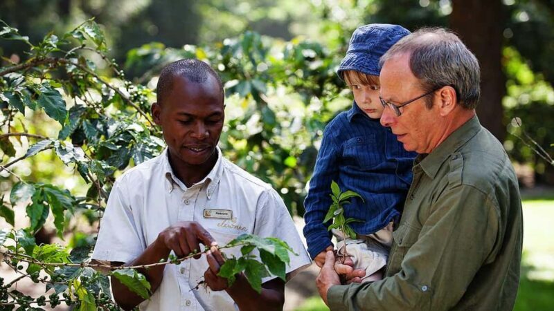 Arusha: Coffee Lodge Guided Tour with Coffee Tasting - Key Points
