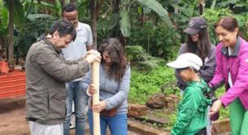 Arusha: Coffee Plantation Tour with Tasting and Hands-On - Introduction: A Genuine Coffee Experience in Tanzania