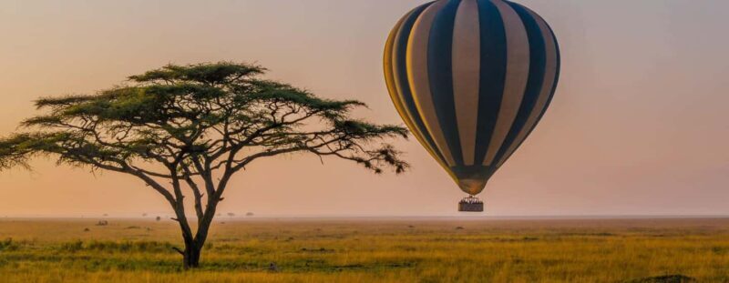 Arusha: Day Trip Joining Safari in Tarangire National Park - Analyzing the Value