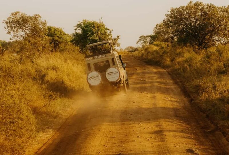 Arusha: Day Trip to Arusha National Park with Lunch. - Key Points