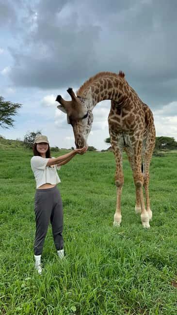 Arusha: Day Trip to Serval Wildlife - Feed Giraffes & Lions - An Authentic Look at the Day Trip to Serval Wildlife Sanctuary