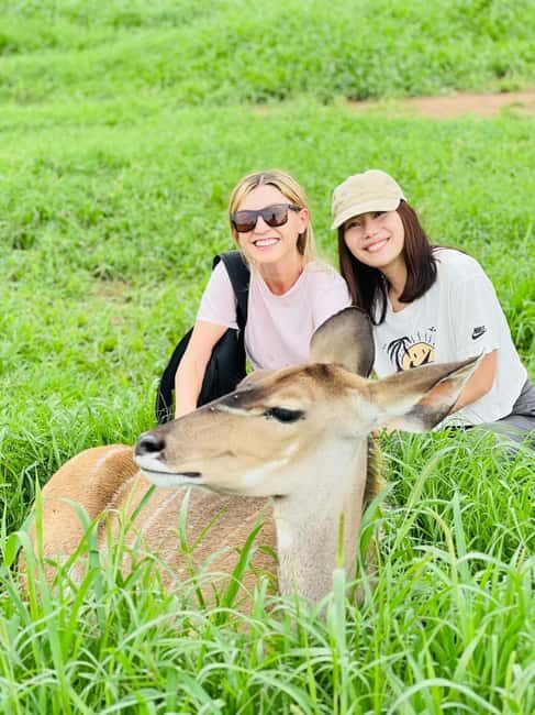 Arusha: Day Trip to Serval Wildlife - Feed Giraffes & Lions - Who Will Love This Trip?