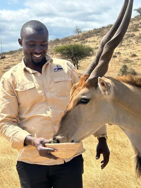 Arusha: Day Trip to Serval Wildlife - Feed Giraffes & Lions - Detailed Itinerary Breakdown