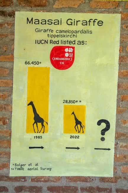 Arusha: Giraffe Centre Guided Tour with Wildlife Walk - Key Points