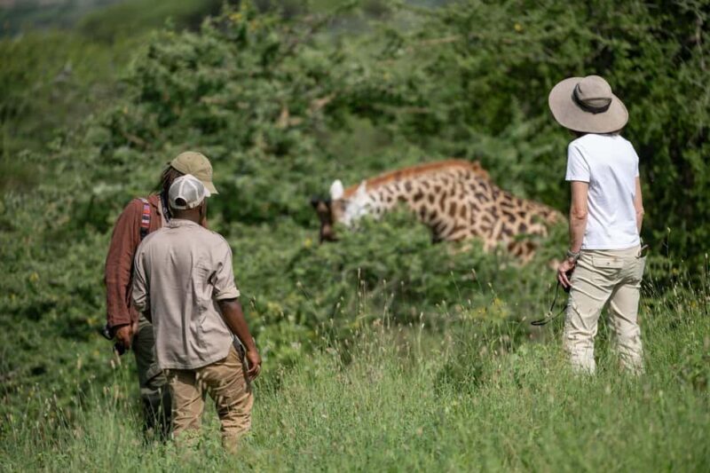 Arusha: Giraffe Centre Guided Tour with Wildlife Walk - Who Will Enjoy This Tour?