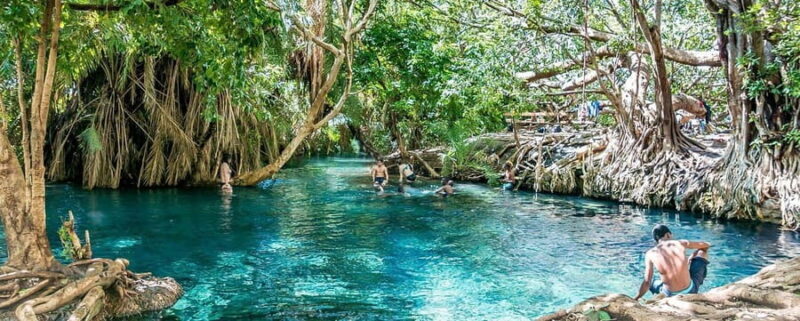 Arusha: Kikuletwa Hot Springs Day Trip with Lunch - An Authentic Day in the Natural Beauty of Kikuletwa
