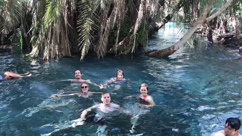 Arusha: Kikuletwa Hot Springs Day Trip with Lunch - What to Expect and Practical Tips