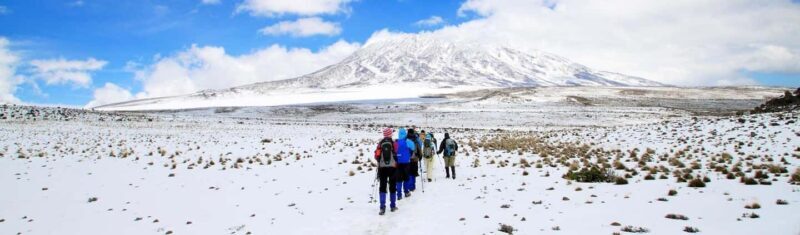 Arusha: Kilimanjaro Day Hike to Mandara Hut - Practical Tips to Maximize Your Day Hike