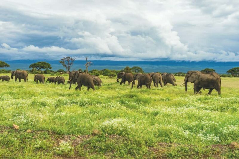 Arusha: Kilimanjaro Hike, Tarangire & Ngorongoro 3-Day Tour - The Practical Side