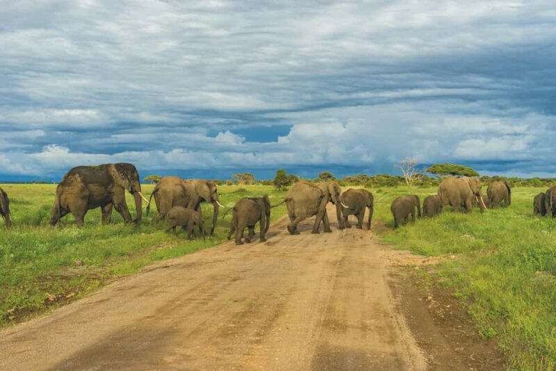 Arusha: Kilimanjaro Hike, Tarangire & Ngorongoro 3-Day Tour - FAQ