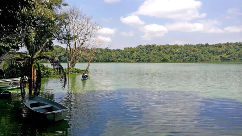 Arusha: Lake Duluti Canoeing and Bird Watching Tour - A Closer Look at the Experience