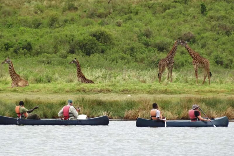 Arusha: Lake Duluti Walking Tour and Canoeing - The Heart of the Experience: What to Expect on the Lake Duluti Tour