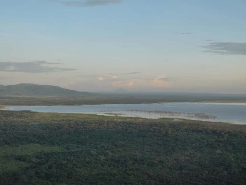 Arusha: Lake Manyara National Park Day Trip with Lunch - FAQ