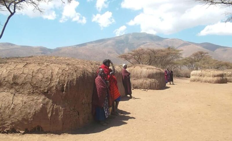 Arusha: Maasai Boma Cultural Day Trip - The Practicalities: Logistics and Value
