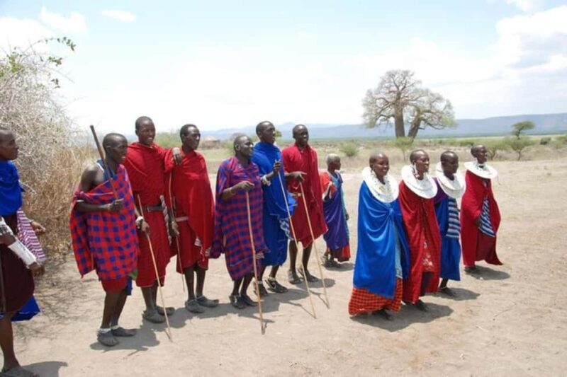 Arusha: Maasai Boma Cultural Day Trip - Who Will Love This Tour?