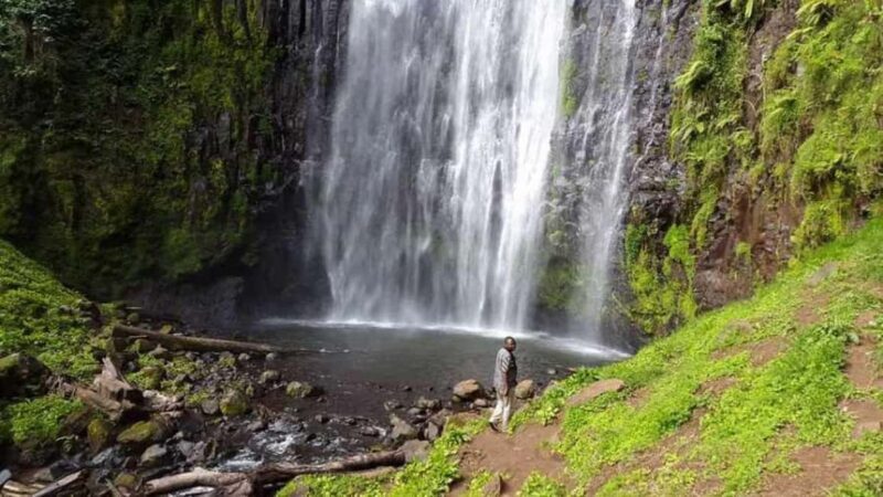Arusha: Materuni Waterfall, Coffee Tour, and Hot Springs - Cultural Flavors: The Chagga Lunch and Coffee Demonstration