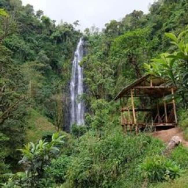 Arusha: Materuni Waterfalls, Coffee Tour, and Hot Springs - Authenticity and Overall Experience