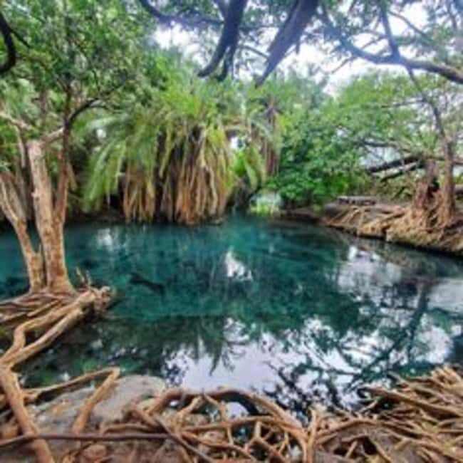 Arusha: Materuni Waterfalls, Coffee Tour, and Hot Springs - Who Should Consider This Tour?