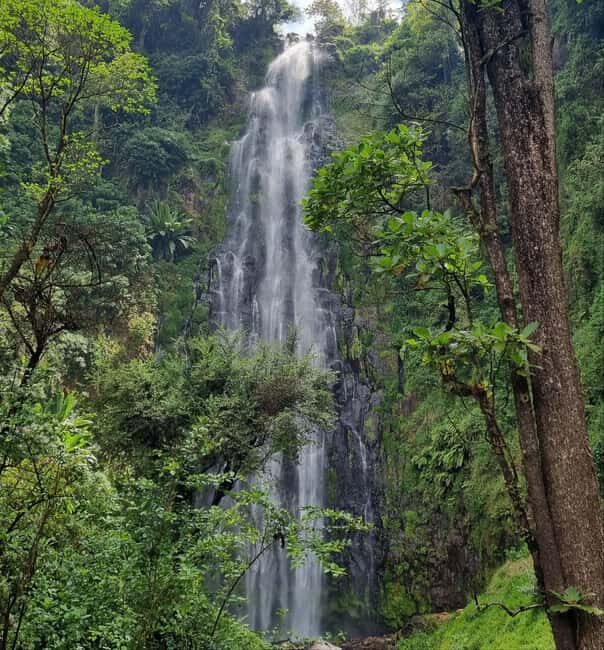 Arusha: Materuni Waterfalls, Hot Springs and/or Coffee Tour - What Does the Cost Cover, and Is It Worth It?
