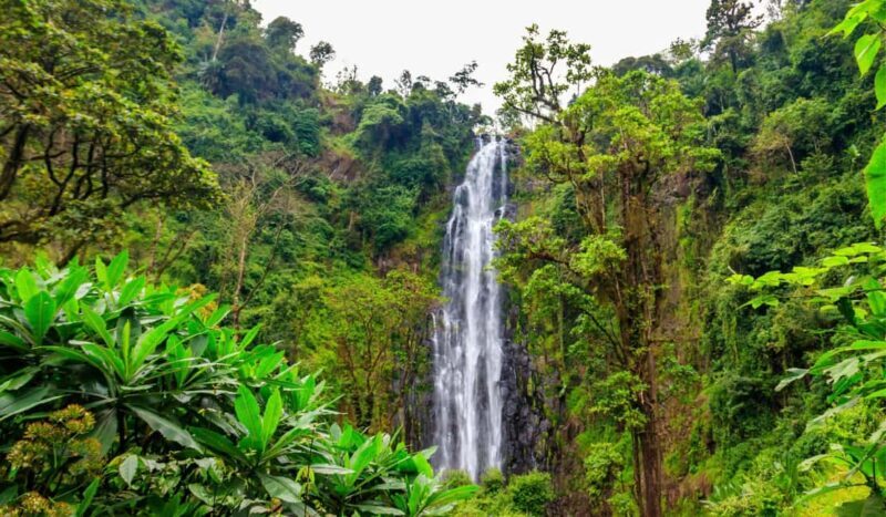Arusha: Materuni Waterfalls, Hot Springs and/or Coffee Tour - The Sum Up: Is This Tour Worth Your Time?