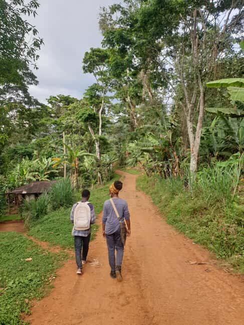 Arusha: Materuni Waterfalls, Hot Springs and/or Coffee Tour - FAQs