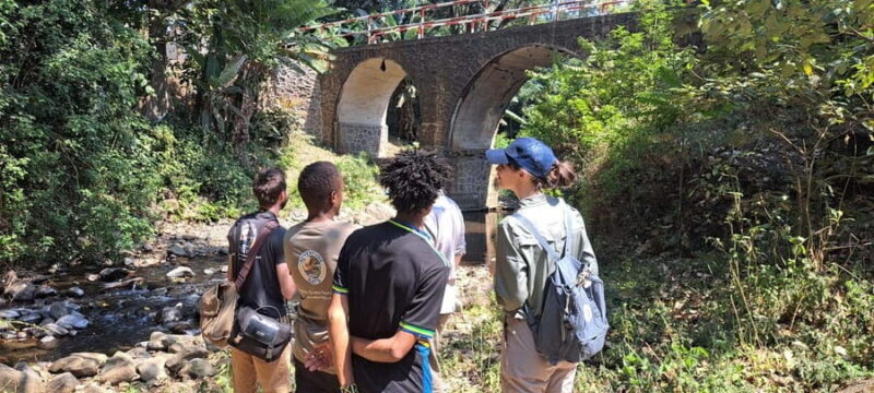 Arusha: Meru Village Tour (Walking or Bike) - What to Expect from the Tour