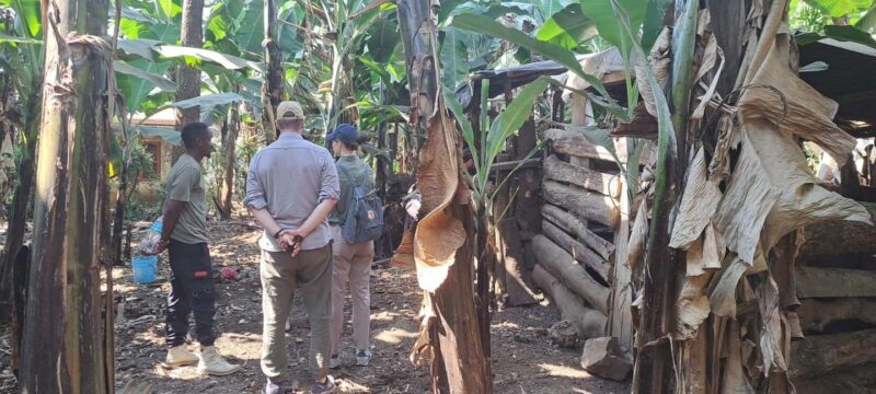 Arusha: Meru Village Tour (Walking or Bike) - Value and Practicality