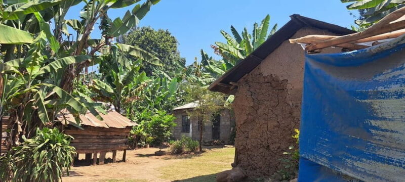 Arusha: Meru Village Tour (Walking or Bike) - Final Thoughts: Who Should Consider This Tour?