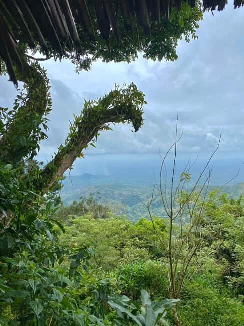 Arusha: Mount Meru Day Hike with Lunch and Transfers - What Travelers Say