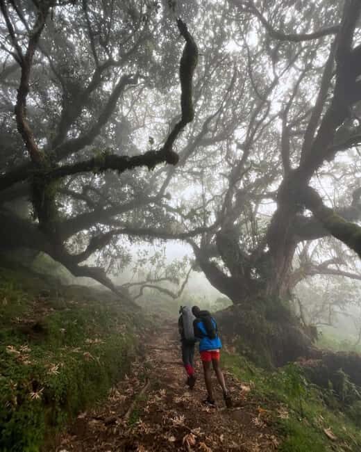 Arusha: Mount Meru Day Hike with Lunch and Transfers - The Practical Details: Value, Logistics, and Tips