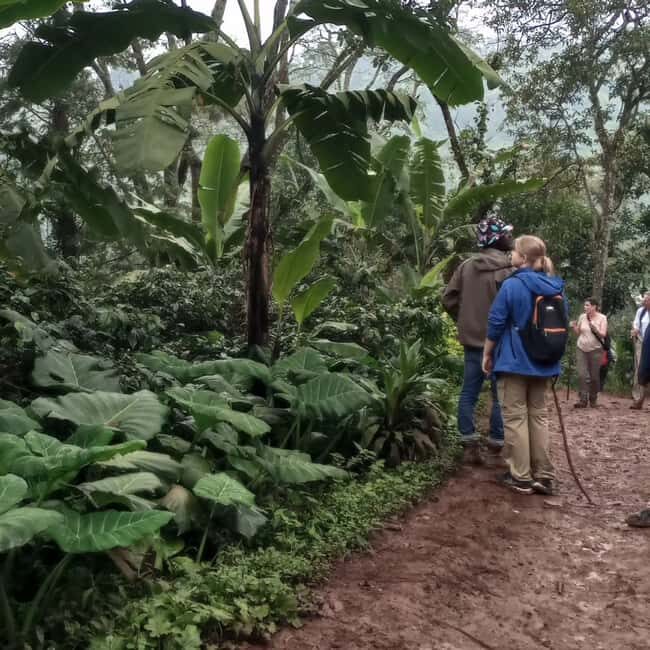 Arusha: Mount Meru Day Hike with Lunch and Transfers - FAQ